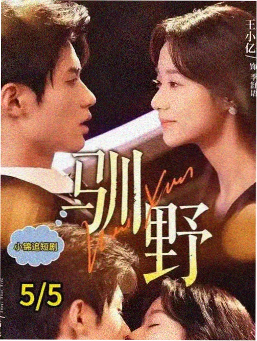 欧美悬疑剧 双面律师 剧照